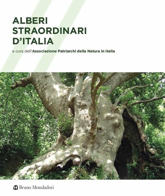 Libri: Alberi straordinari d’Italia con Sergio Guidi
